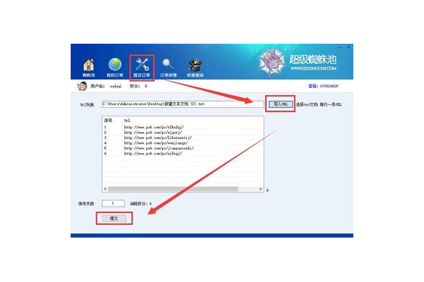 蜘蛛池下單程序：高效提升網站排名的利器